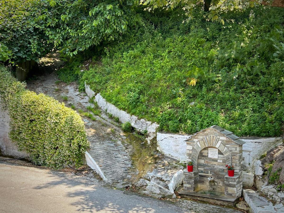 Λευκή Καμέλια Hotel Anilio Pelion Buitenkant foto
