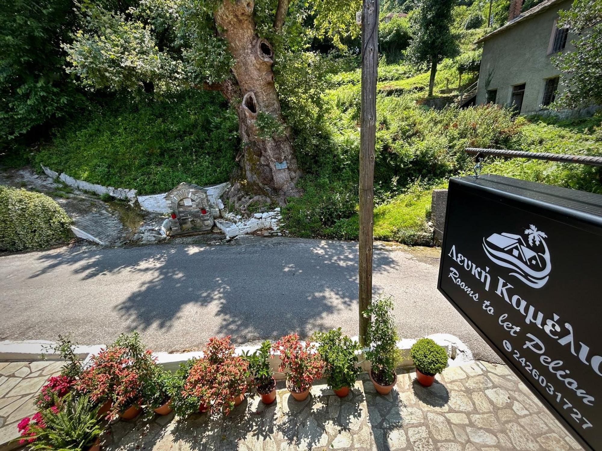 Λευκή Καμέλια Hotel Anilio Pelion Buitenkant foto
